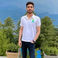 Husnain Raza
