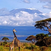 Visit Kilimanjaro