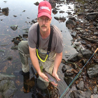 Trout Darrel