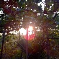 AbuNasser Badrudduza