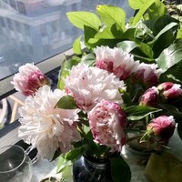 梁家敏