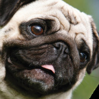 vanillian the third empress