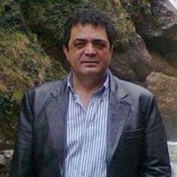 Nihad Mert