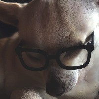 Harry Porquet P.Log