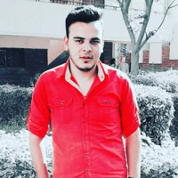 Mahmoud El Hawy