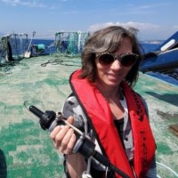 Desirée Stockermans