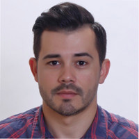 Gabriel N. Costea