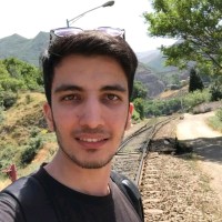 Behnam Torabi