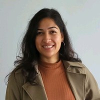 Sameen Shahid