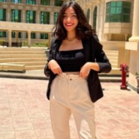 Alaa Amr