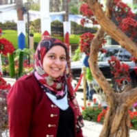 Samaa Abdelmegeed