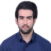 Mostafa Bahmani