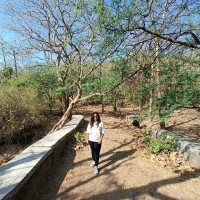 Swati Ray