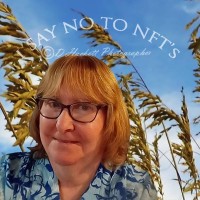 Donna Hackett