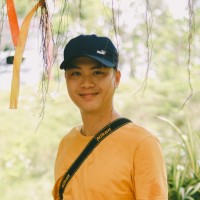 Việt Anh