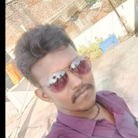 Vigneshwaran P