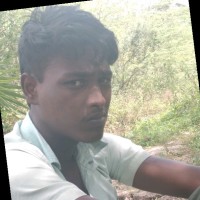 M.L. Vigneshwar