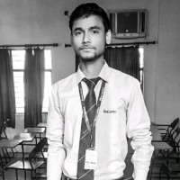 Noor  Alam Ansari