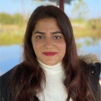Ameena Kidwai
