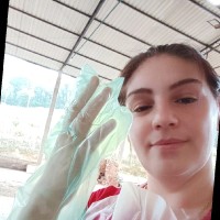 Cleonice Aparecida De França