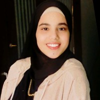 Alaa Hossam