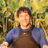 Joe Federici