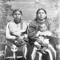 Vivian Gill-Chasing Hawk