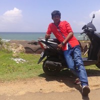 dino roy