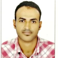 Ayman Eid Ibrahim Shehata