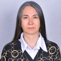 Solmaz Chamani Tabriz