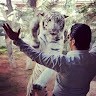 Waleed Mohamed