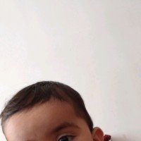 محمد مهدی پیچکی