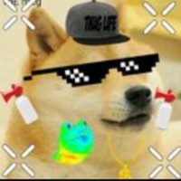 Dank Doge
