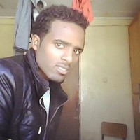 surafel b