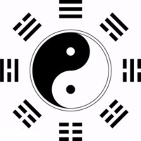 杨欣芸