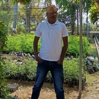 Harish Patel