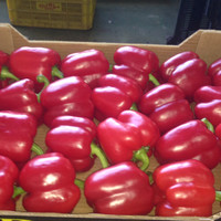 Jose Manuel Prados Bejar