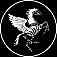 Dronescapes Videos