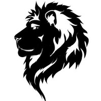 leon informatic