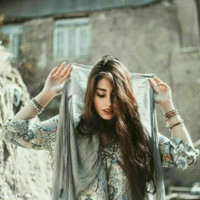 Parisa Y