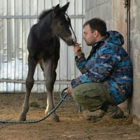 Антон Воскресенский