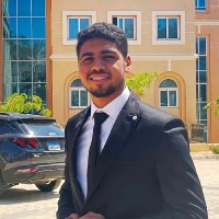 Abdelshafy Elsayed