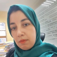 hanan boulgana