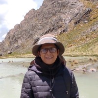 Cristian Luis Farfan Llanos