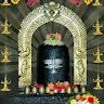Soma Shekar