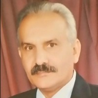Magdy Elberry