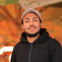 Karim Rabea