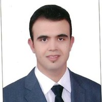 Walid El-Bagory