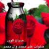 Zinna Elsayed