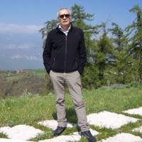 Diego Avanzi